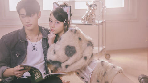 Phí Phương Anh hé lộ lý do comeback sau 2 năm vắng bóng