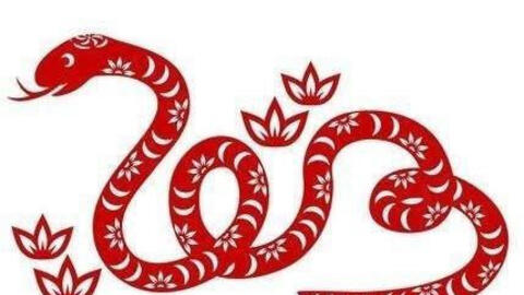 Tuổi Đinh Tỵ 1977 xuất hành Tết 2022 vào giờ nào, hướng nào tốt nhất?