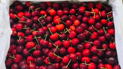 Giá cherry tăng gần 1 triệu đồng/kg nhưng vẫn hút giới nhà giàu Việt.