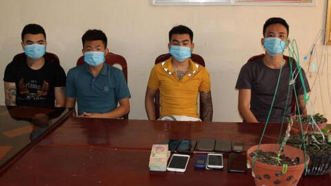 Nhóm bán lan 'đột biến' giả chiếm đoạt 3,5 tỉ đồng bị bắt giữ