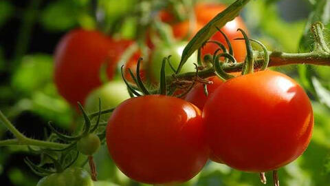 Những loại củ quả không nên ăn vỏ