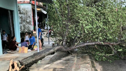 Bão số 5 làm 2 người thiệt mạng và 31 người bị thương