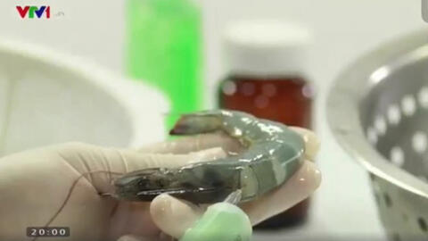 VASEAP đề nghị VTV đính chính quảng cáo dùng tôm tươi minh họa "thực phẩm bẩn"