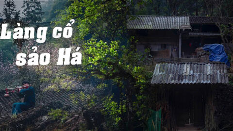 Ngắm ngôi làng Sảo Há ngoài đời thực - bối cảnh của bộ phim chiến thắng giải thưởng Phim truyền hình của năm tại WeChoice Awards 2023