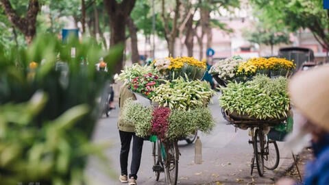 Hoa loa kèn tràn ngập các tuyến phố Thủ đô, giá giảm mạnh bất ngờ