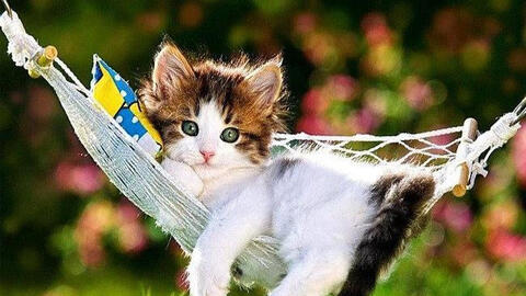 Ngày khai trương đẹp nhất năm 2022 cho tuổi Quý Mão 1963