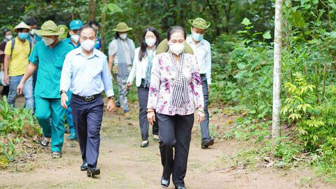 Rục rịch mở lại tour du lịch nội địa