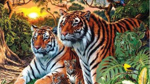 Xem tuổi xông đất 2022 cho gia chủ tuổi Mậu Dần 1998