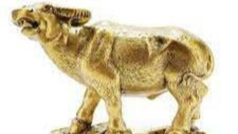 Tuổi Đinh Sửu 1997 xuất hành Tết 2022 vào giờ nào, hướng nào tốt nhất?