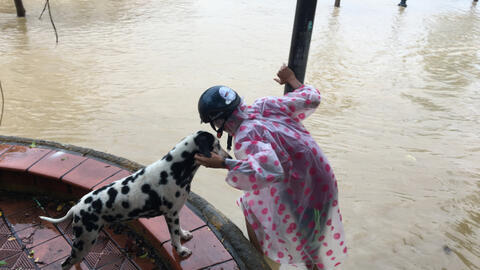 "Bão nghiêng đêm, bão ở trong lòng"