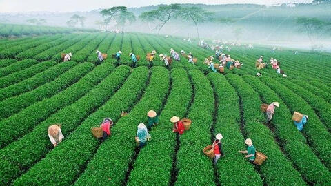 Lâm Đồng dừng giãn cách xã hội, Hà Nội, Long An cùng nhiều tỉnh thành thực hiện  Chỉ thị 15