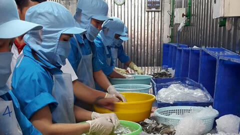 Đại sứ EU tại Việt Nam: EVFTA là cơ hội mà các doanh nghiệp phải giành lấy