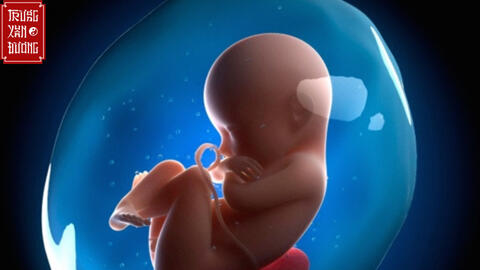 Kỹ thuật truyền ối giúp 20 sản phụ bị thiểu ối giữ con, sinh nở khỏe mạnh