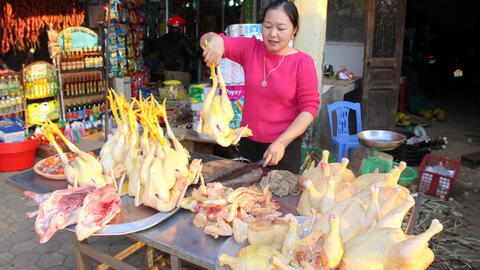 Giá thực phẩm ngày 15/10: Thịt gà giữ ổn định