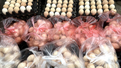 Giá trứng gà xuống thấp chỉ còn 1.400 đồng/quả