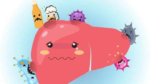 6 dấu hiệu cho thấy gan của bạn đang làm việc quá tải