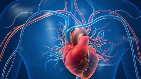 Ca ghép tim đầu tiên giữa hai người nhiễm HIV trên thế giới