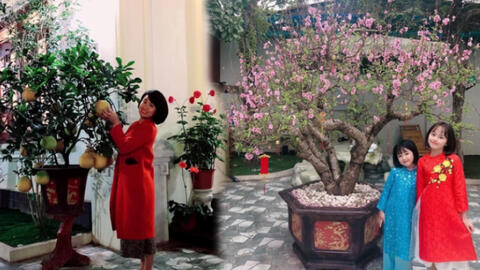 Ý nghĩa của các phong tục ngày Tết cần giáo dục cho trẻ nhỏ