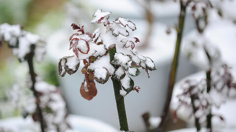 Điểm lại những mùa đông rét kỷ lục miền Bắc   