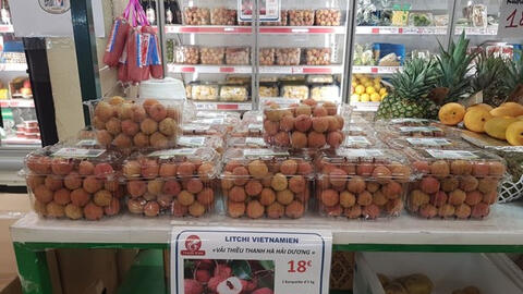 Lô vải thiều Thanh Hà đầu tiên mang tem truy xuất được bán tại Pháp