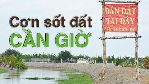 Tăng đến 300%, điều gì tạo nên 'cơn sốt đất' ở Cần Giờ?