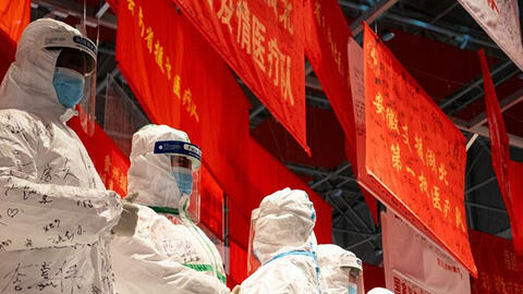 Nhà sinh vật học Việt Nam tham gia vào nhóm chuyên gia WHO đến Vũ Hán điều tra COVID-19