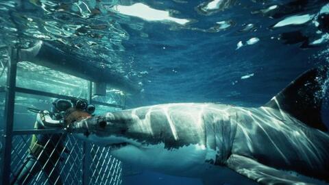 Những hành trình "đau tim" nhất thế giới