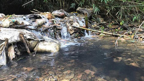 Hòa Bình khởi tố hình sự vụ án đổ dầu thải vào nước sông Đà