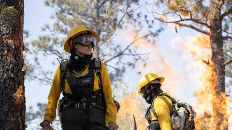 Angelina Jolie sẽ trở lại màn ảnh rộng với "Kẻ Nguyền Ta Chết"