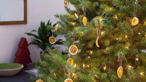 10 mẫu cây thông Noel đơn sắc tuyệt vời cho mùa lễ hội năm nay