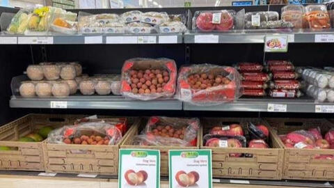 Doanh nhân Việt ở nước ngoài muốn làm cầu nối để hàng Việt xuất khẩu