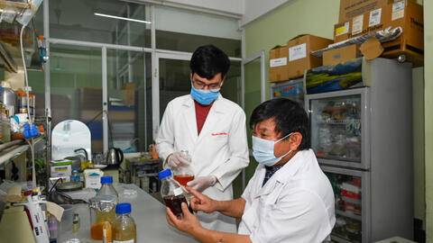 Điểm lại những dấu ấn khoa học công nghệ nổi bật của Việt Nam trong năm 2021