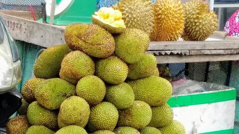 Mít tố nữ xuất xứ Bến Tre đắt hơn Đồng Nai 5.000 - 10.000 đồng/kg