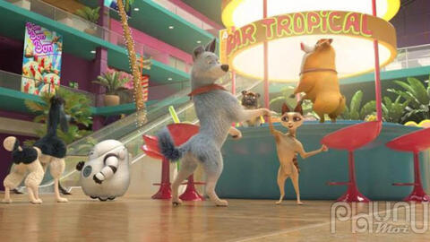 Dàn thú cưng "đại náo" Tết Nguyên Đán 2020