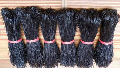 Miến đen Lào đắt gấp 3 - 4 lần miến thường vẫn được nhiều người ưa chuộng