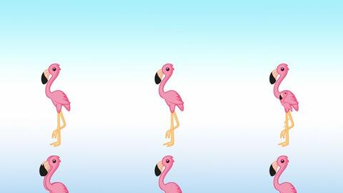 Có bao nhiêu con hồng hạc trong hình dưới đây?