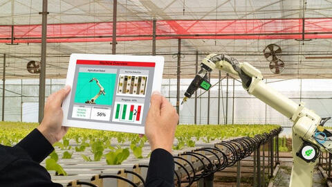 Triển vọng tương lai cho trí tuệ nhân tạo trên thị trường việc làm là gì?