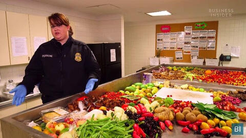 Điều gì xảy ra với thực phẩm bị thu giữ tại sân bay?