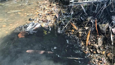 Hà Nội sẽ kiến nghị điều tra việc nước nhiễm dầu thải vẫn bán cho dân