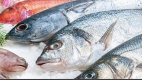 Thủy sản Việt Nam xuất khẩu vào Nga tăng mạnh