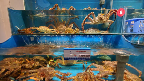 Cua Hoàng đế giảm giá "sốc"