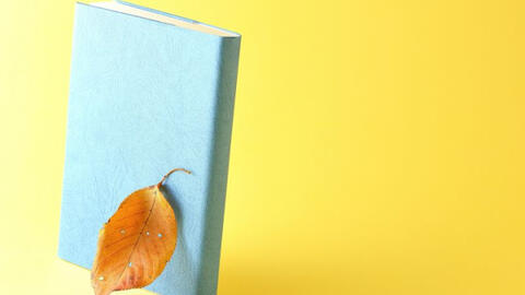 Trò chuyện về bìa sách