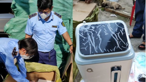 TP.HCM phát hiện hơn 300.000 thiết bị y tế trôi nổi, phần lớn là hàng Trung Quốc