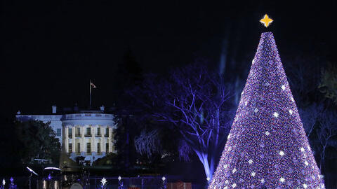 Những cây thông Noel đẹp nhất Thế giới