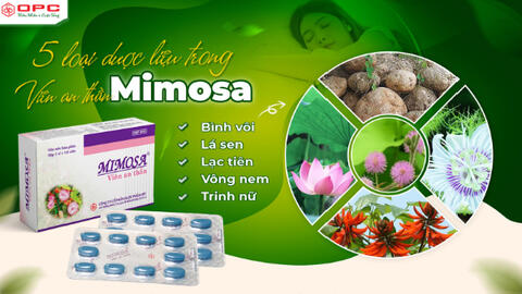 Mimosa OPC - Định tâm, an thần, yên giấc ngủ