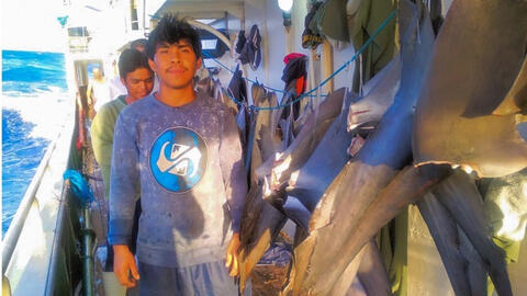 Indonesia đã đề nghị Liên Hợp Quốc vào cuộc vụ tàu Trung Quốc ném xác ngư dân xuống biển