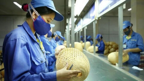 Thu nhập bình quân của lao động Việt Nam tăng 6,9%