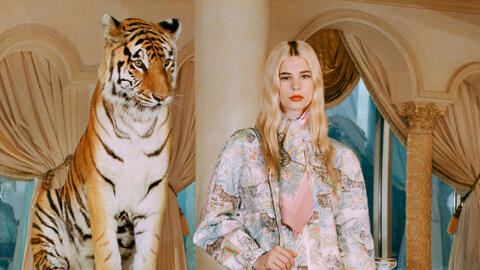 Gucci bị chỉ trích vì dùng hổ thật quay quảng cáo