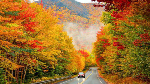 4 lí do nên đi du lịch vào mùa thu
