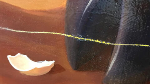 Họa sĩ rút khỏi triển lãm mỹ thuật toàn quốc vì tranh bị rạch xước